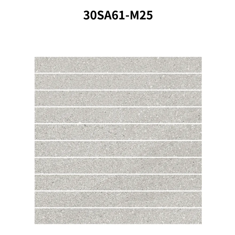 300x300mm 30SA61-M25 Mosaic